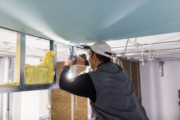 Best Insulation Maintenance and Repair in Dolgeville, NY