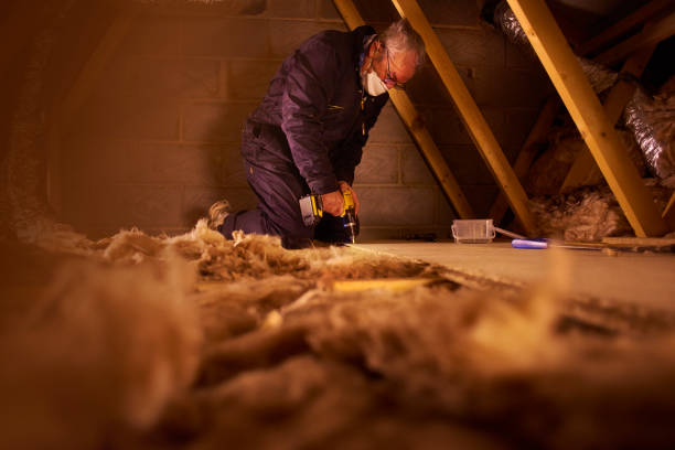 Best Residential Insulation in Dolgeville, NY